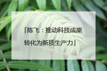 陈飞：推动科技成果转化为新质生产力