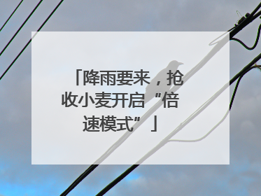 降雨要来，抢收小麦开启“倍速模式”