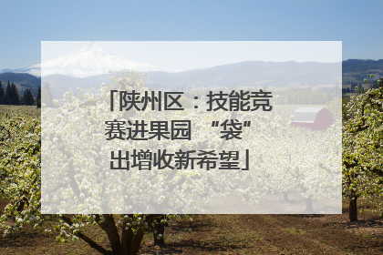 陕州区：技能竞赛进果园 “袋”出增收新希望
