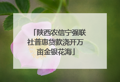 陕西农信宁强联社普惠贷款浇开万亩金银花海