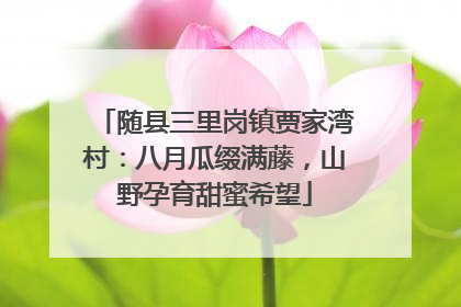 随县三里岗镇贾家湾村：八月瓜缀满藤，山野孕育甜蜜希望