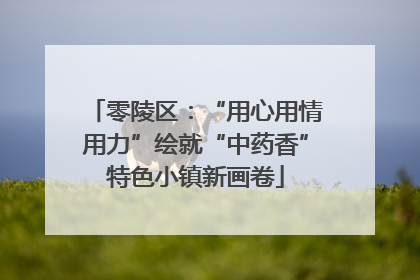 零陵区：“用心用情用力”绘就“中药香”特色小镇新画卷