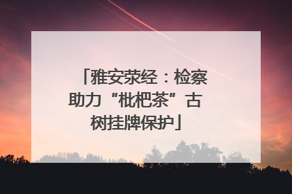 雅安荥经：检察助力“枇杷茶”古树挂牌保护