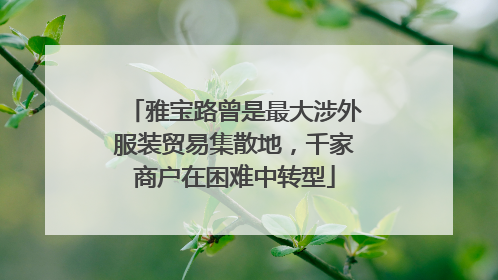 雅宝路曾是最大涉外服装贸易集散地，千家商户在困难中转型