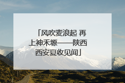 风吹麦浪起 再上神禾塬——陕西西安夏收见闻