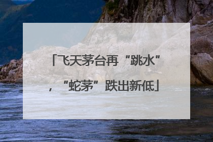 飞天茅台再“跳水”，“蛇茅”跌出新低