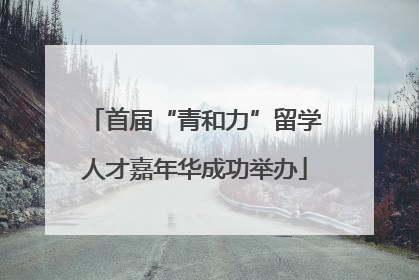 首届“青和力”留学人才嘉年华成功举办