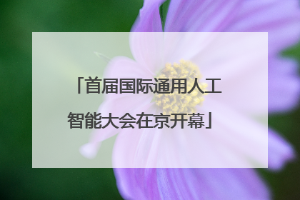 首届国际通用人工智能大会在京开幕