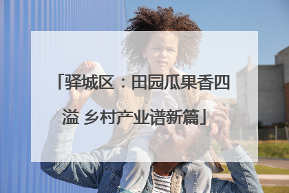 驿城区：田园瓜果香四溢 乡村产业谱新篇