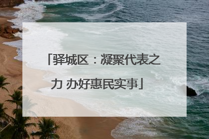 驿城区：凝聚代表之力 办好惠民实事