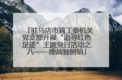 驻马店市直工委机关党支部开展“追寻红色足迹”主题党日活动之八——鏖战独树镇