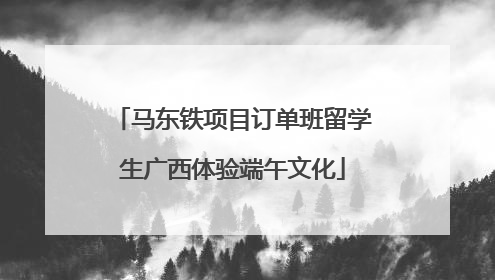 马东铁项目订单班留学生广西体验端午文化