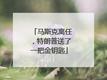 马斯克离任，特朗普送了一把金钥匙