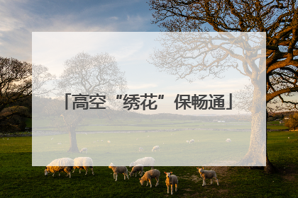 高空“绣花”保畅通
