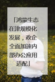 鸿蒙生态在津规模化发展，政企全面加速内部办公应用适配