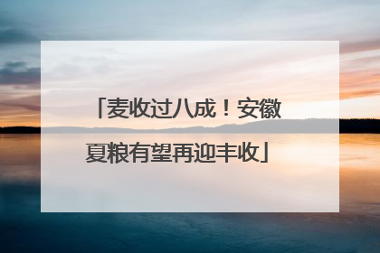 麦收过八成！安徽夏粮有望再迎丰收