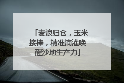 麦浪归仓，玉米接棒，精准滴灌唤醒沙地生产力