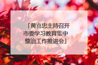 黄喜忠主持召开市委学习教育集中整治工作推进会
