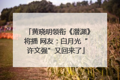 黄晓明领衔《潜渊》将播 网友：白月光“许文强”又回来了