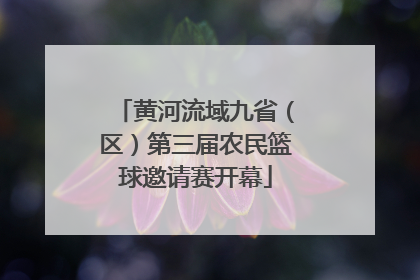 黄河流域九省（区）第三届农民篮球邀请赛开幕