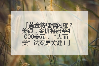 黄金将继续闪耀?美银:金价将涨至4000美元,“大而美”法案是关键!