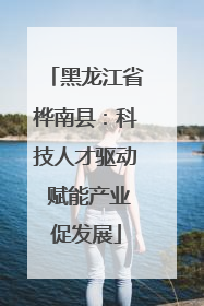 黑龙江省桦南县：科技人才驱动 赋能产业促发展