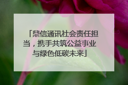 鼎信通讯社会责任担当，携手共筑公益事业与绿色低碳未来