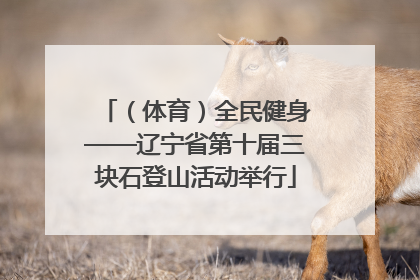 （体育）全民健身——辽宁省第十届三块石登山活动举行