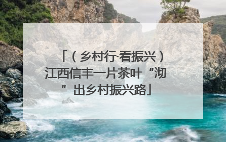 （乡村行·看振兴）江西信丰一片茶叶“沏”出乡村振兴路