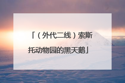 （外代二线）索斯托动物园的黑天鹅