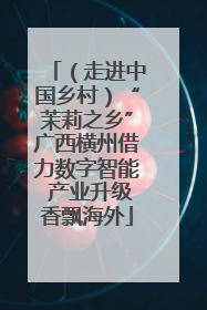 （走进中国乡村）“茉莉之乡”广西横州借力数字智能 产业升级香飘海外