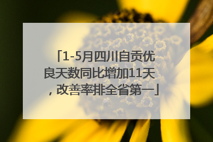 1-5月四川自贡优良天数同比增加11天，改善率排全省第一
