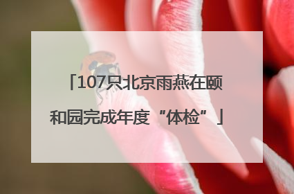 107只北京雨燕在颐和园完成年度“体检”