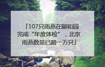 107只雨燕在颐和园完成“年度体检”，北京雨燕数量已超一万只