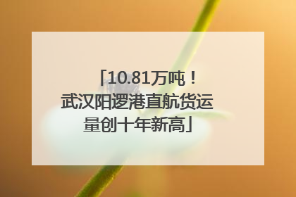 10.81万吨！武汉阳逻港直航货运量创十年新高