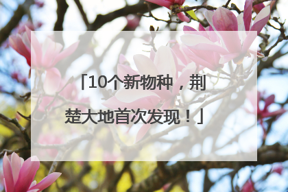 10个新物种，荆楚大地首次发现！