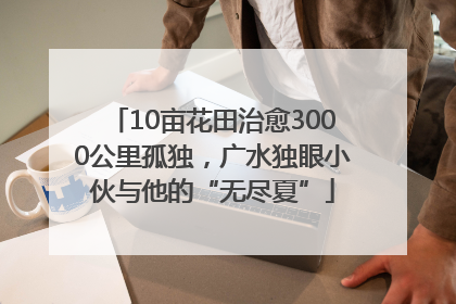 10亩花田治愈3000公里孤独，广水独眼小伙与他的“无尽夏”