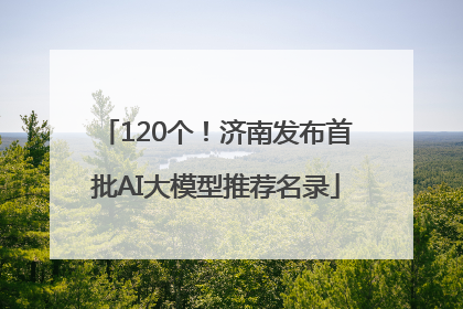 120个！济南发布首批AI大模型推荐名录