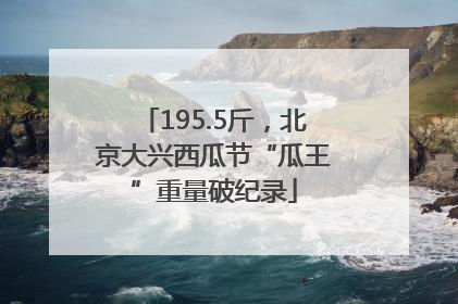 195.5斤，北京大兴西瓜节“瓜王”重量破纪录
