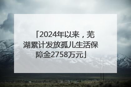 2024年以来，芜湖累计发放孤儿生活保障金2758万元