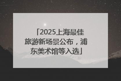 2025上海最佳旅游新场景公布，浦东美术馆等入选