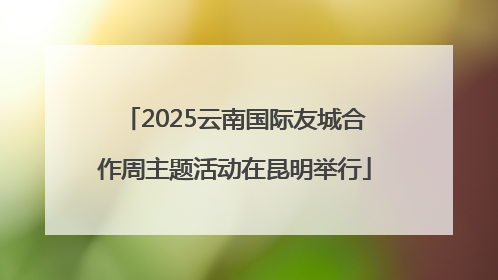 2025云南国际友城合作周主题活动在昆明举行