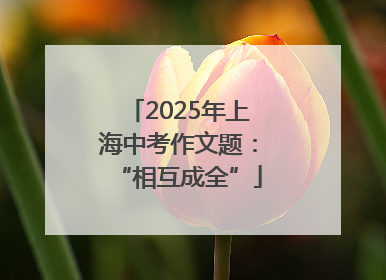2025年上海中考作文题：“相互成全”