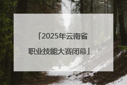2025年云南省职业技能大赛闭幕