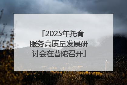 2025年托育服务高质量发展研讨会在普陀召开