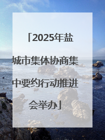 2025年盐城市集体协商集中要约行动推进会举办
