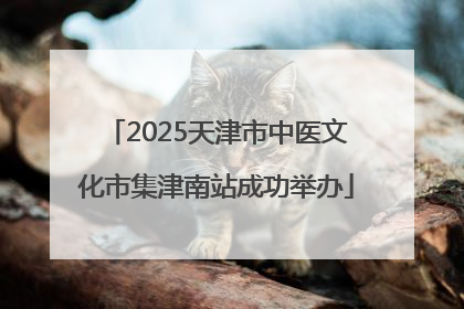 2025天津市中医文化市集津南站成功举办