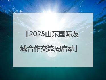 2025山东国际友城合作交流周启动