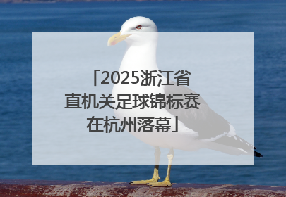 2025浙江省直机关足球锦标赛在杭州落幕