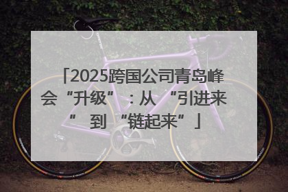 2025跨国公司青岛峰会“升级”：从 “引进来” 到 “链起来”